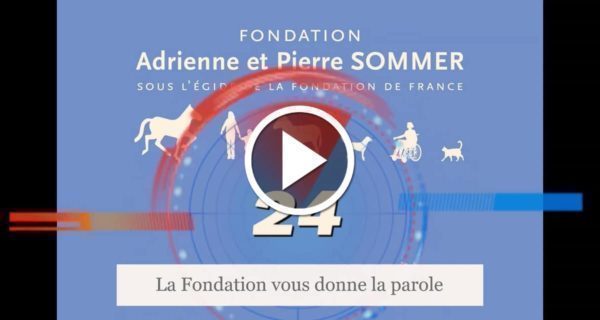 Médiation animale et confinement - Cécile Cardon