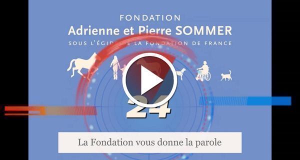 Médiation animale et confinement - Anne-Claire Gagnon