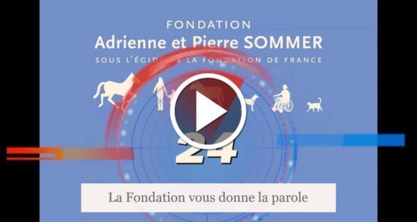Médiation animale et confinement - Catherine Mercier
