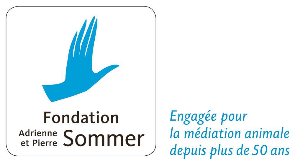 © PNG _ Fondation Adrienne et Pierre SOMMER - LOGO 2024