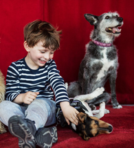 Atelier de médiation animale