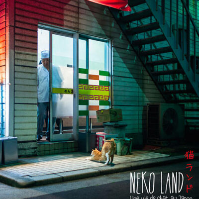 Nekoland, une vie de chat au Japon