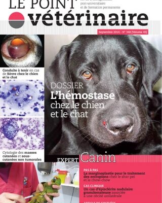 Thérapie facilitée par l'animal