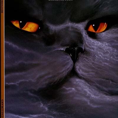 Les neuf vies du chat