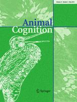 Les chiens manifestent de l'empathie