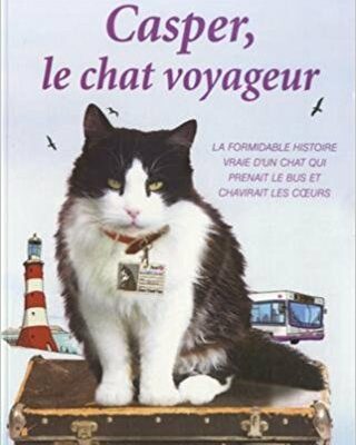Casper, le chat voyageur