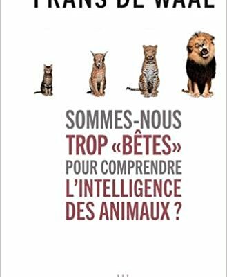 Sommes-nous trop bêtes pour comprendre l'intelligence des animaux ?