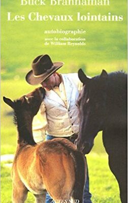 Les cheveaux lointains