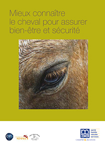 Mieux connaître le cheval pour assurer bien-être et sécurité