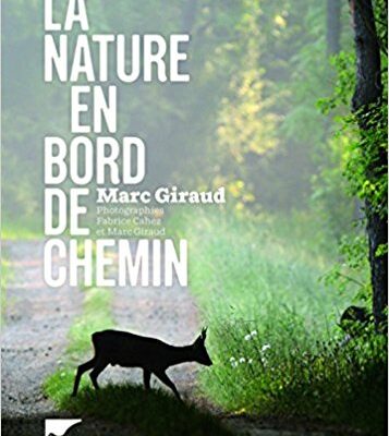 La nature en bord de chemin
