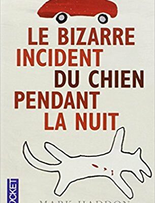 Le bizarre incident du chien pendant la nuit