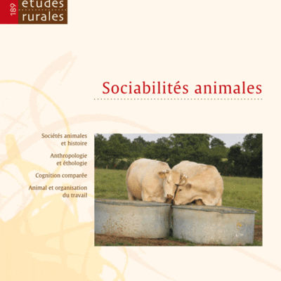 Sociabilités animales