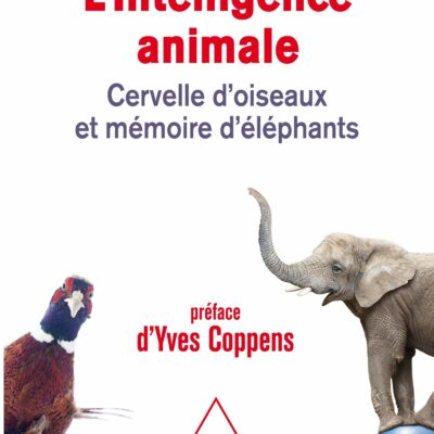 Intelligence Animale