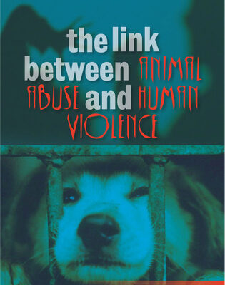 Lien entre maltraitance animale et violence à autrui