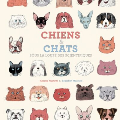 Chiens et Chats sous la loupe des scientifiques