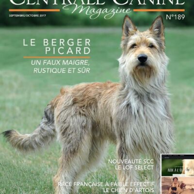 Les conditions socio-historiques de la naissance de la cynophilie