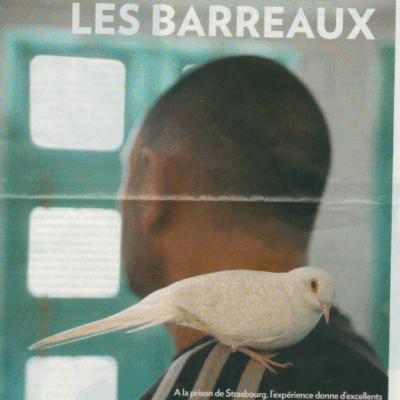 Des animaux pour oublier les barreaux