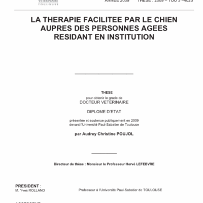 La thérapie facilitée par le chien auprès des personnes âgées résidant en institution