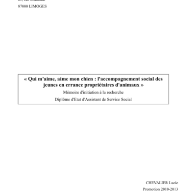 Qui m'aime, aime mon chien : l'accompagnement social des jeunes en errance propriétaires d'animaux