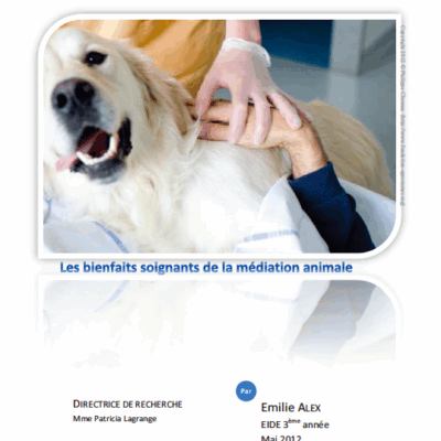 Les bienfaits soignants de la médiation animale