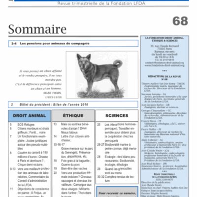 Les interactions hommes-perroquet : comment communiquer ?