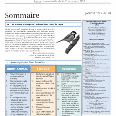 Bientraitance animale ou bien-être animal ? Signes distinctifs