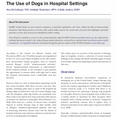 Point sur la médiation canine en milieu hospitalier aux USA