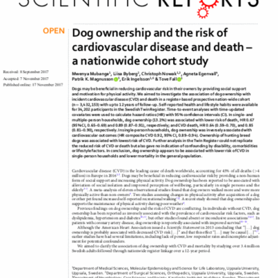 Etude suédoise sur l'incidence de la possession d'un chien dans le cas de maladies cardiaques