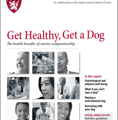 Pour être en bonne santé, ayez un chien