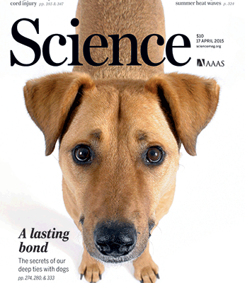 Les secrets de notre relation privilégiée avec le chien