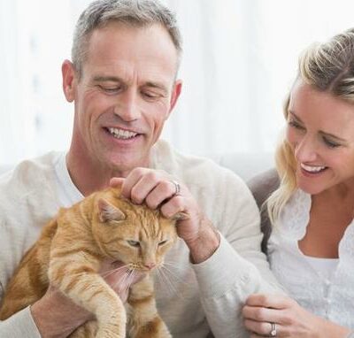 Quand les animaux nous aident à communiquer