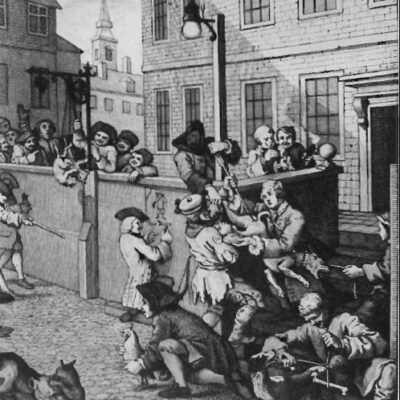 Human violence and animal cruelty