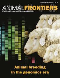 Le rôle d'accompagnement social des chiens d'assistance : un partenariat éclairant sur le lien entre l'homme et l'animal