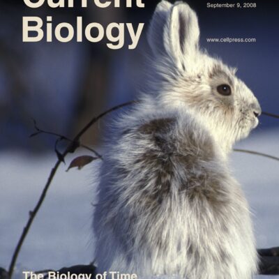 Chiens et humains partagent le même environnement social