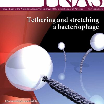 Nouvelles découvertes sur la domestication du chat