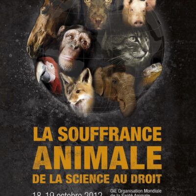La souffrance animale - De la science au droit