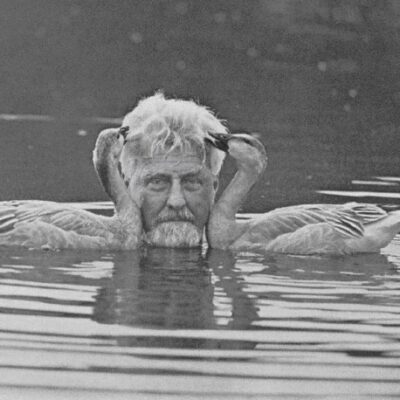 Les quatre questions de Tinbergen