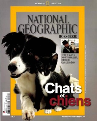 Dans la tête des chats et des chiens