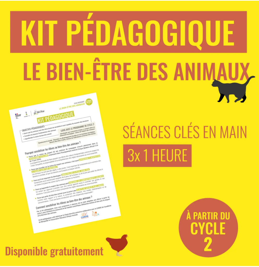 Enseignement Moral et Civique pour les élèves du cycle 2 : le bien-être des animaux